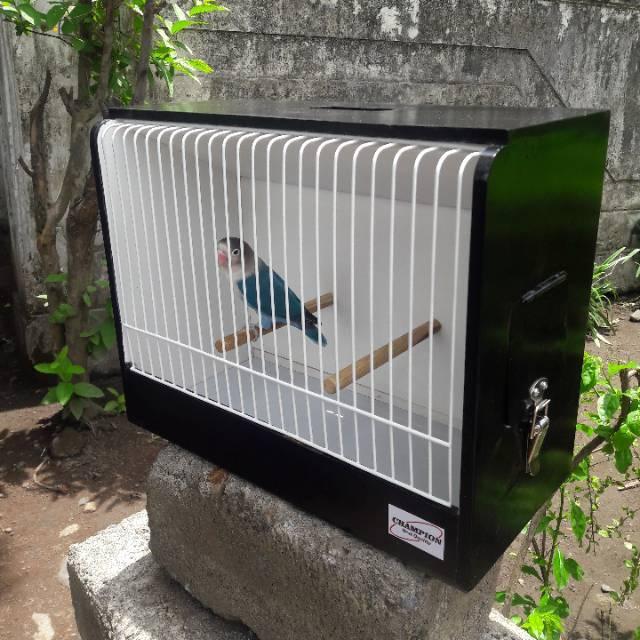 ASLI Jeruji besi SHOW CAGE / Box Beauty Contest Lovebird READY STOCK