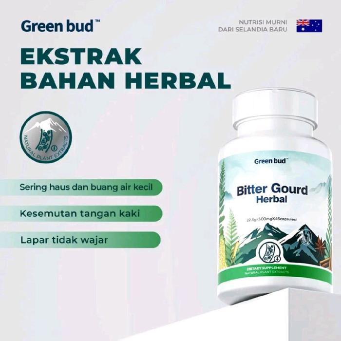Terlaris Green Bud Bitter Gourd Herbal Capsules - Ekstrak Bahan Herbal Kadar Gula Darah Sehat Untuk