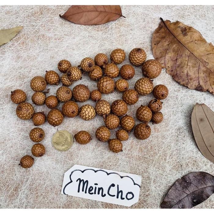 (5 biji) Biji Rotan BULAT Buah Rotan BULAT Dekorasi Rustik