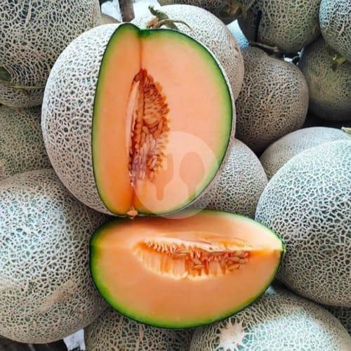 Melon Orange 1 Buah