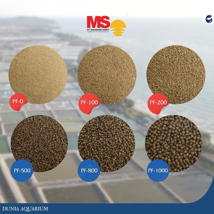 PF 500 Pakan Benih Ikan Protein 40% / Pelet Benih Ikan, Pelet Ikan Cupang, Pelet Ikan Glofish, Pelet
