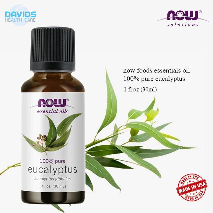 PROMO Minyak Aromaterapi Diffuser Essentials Oil Aromatherapy Humidifier