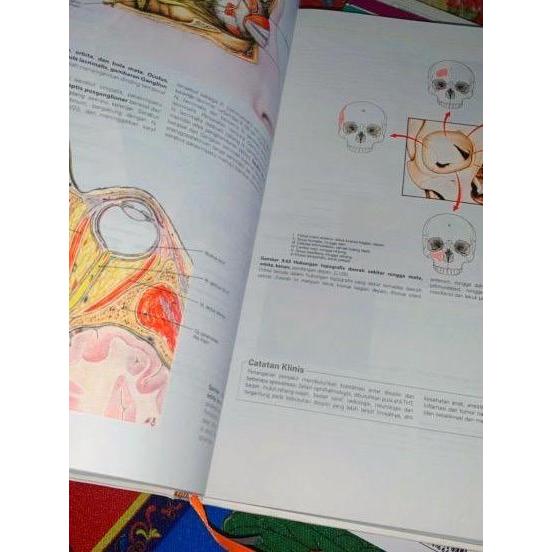 Promo Tl_ Paket 4 Sobotta Atlas Anatomi Manusia Edisi 24 Bahasa Indonesia Terlaris
