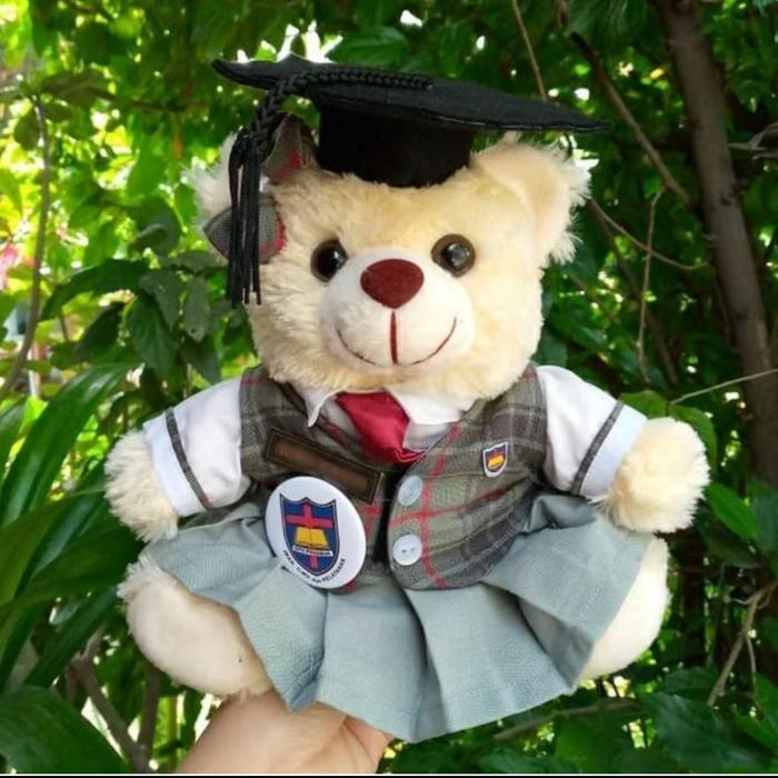 Small Bear 22cm Seragam SMAK Penabur
