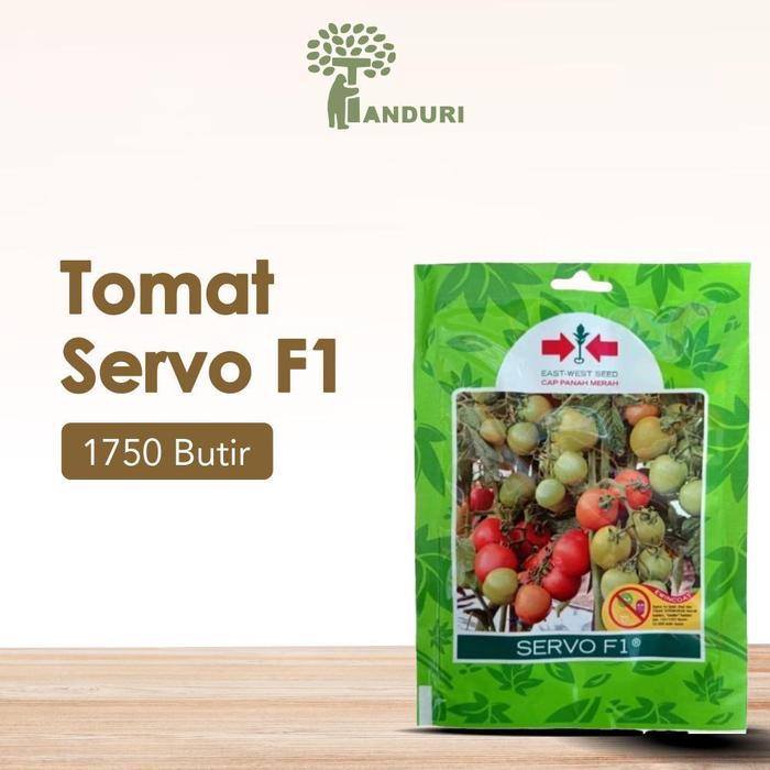 TANDURI - Bibit Tomat Servo F1 Benih Tomat Servo F1 1750 Biji Original Benih Buah Tomat Benih
