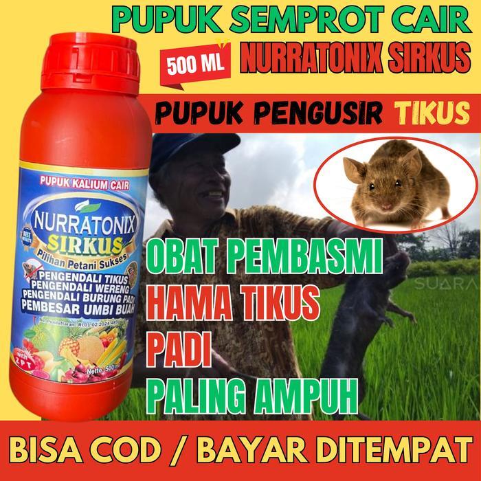 BASMI NURRATONIX SIRKUS Obat Pengusir Hama Tikus Di Sawah - Obat Pembasmi Hama Tikus - Obat Hama