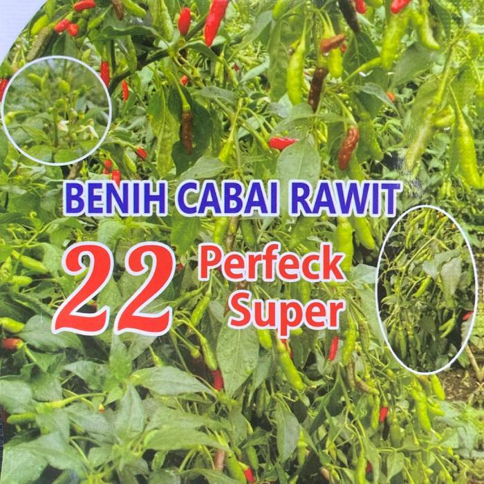 +- 15 Gram Benih Cabai Rawit Varietas 22 Perfeck - Cabe Rawit Setan - Varietas 22 Perfeck Diskon
