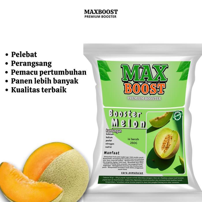booster tanaman Melon Perangsang Buah Melon , Pupuk Pelebat Buah Melon berkualitas Nutrisi Terbaik