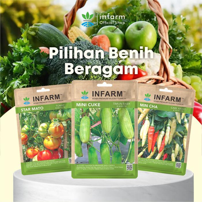INFARM - Bibit Unggul Tomat Star Mato Benih Tomat Biji Tomat Bibit Tomat Mawar Infarm - Merah, Hijau