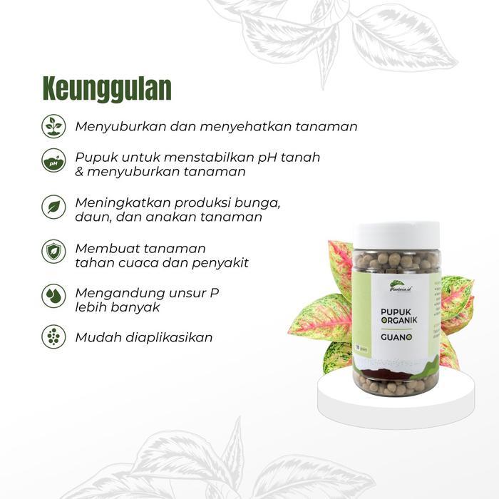 Jual Rugi Pupuk Guano Organik Pupuk Guano Kelelawar Organik Bitan
