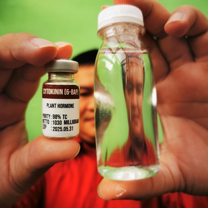 BISA COD Hormon Cytokinin Sitokinin 6-BAP Murni Serbuk Powder Botol Vial Steril