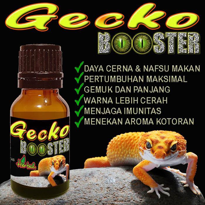 GECKO BOOSTER OBAT TOKEK LEOPARD GEKO WHEELERI GEKKO CRESTED GECKKO AFT VITAMIN PENAMBAH NAFSU MAKAN