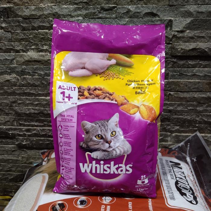 Makanan Kucing Kering Rasa Ayam untuk 1,1 kg