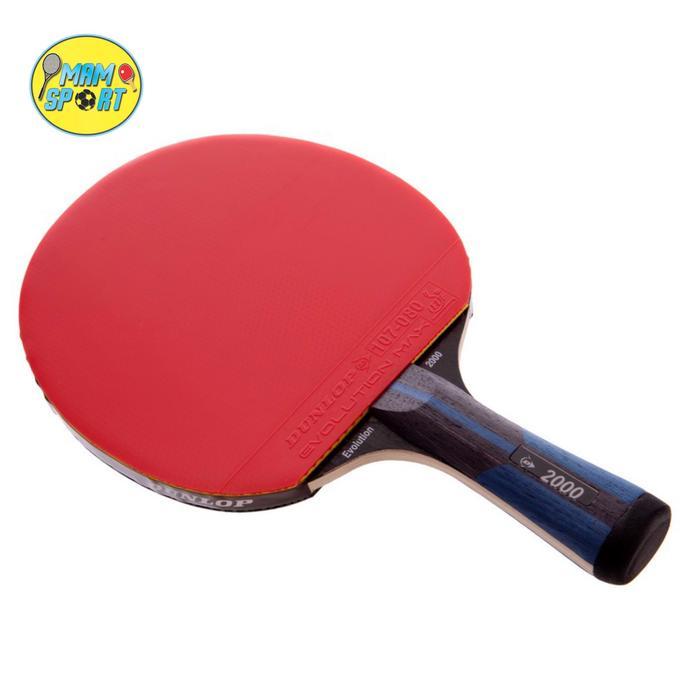 Bet Bet Tenis Meja Pingpong Dunlop Evolusion 2000