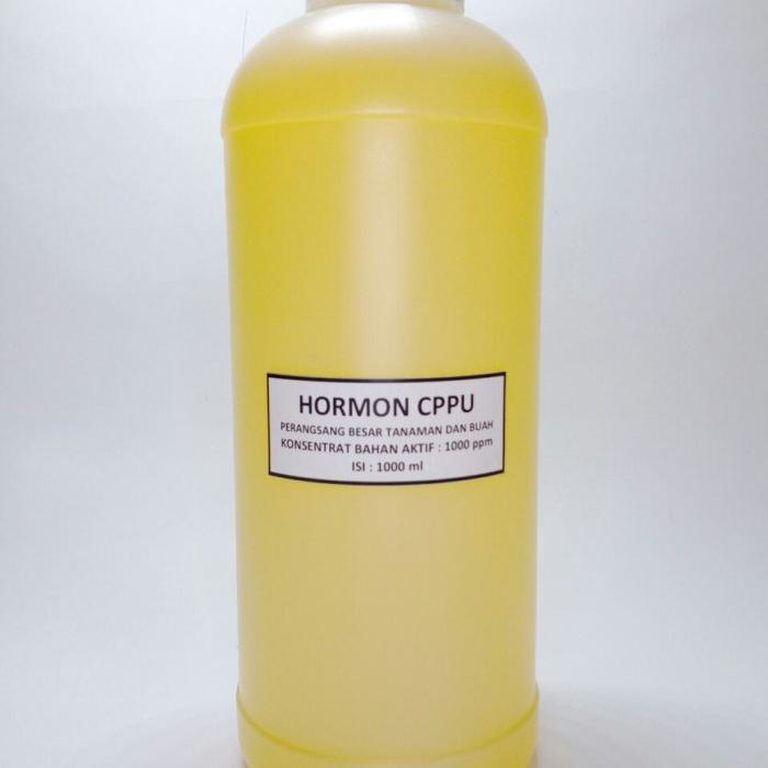 BISA COD hormon cppu pembesar buah dan tanaman ukuran 1000ml
