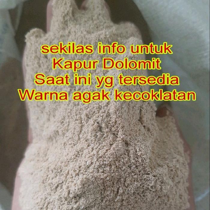 Terlaris Per 10 Kg Kapur Dolomit untuk Pertanian dan Perikanan pupuk tanaman Tanah Benih SALE