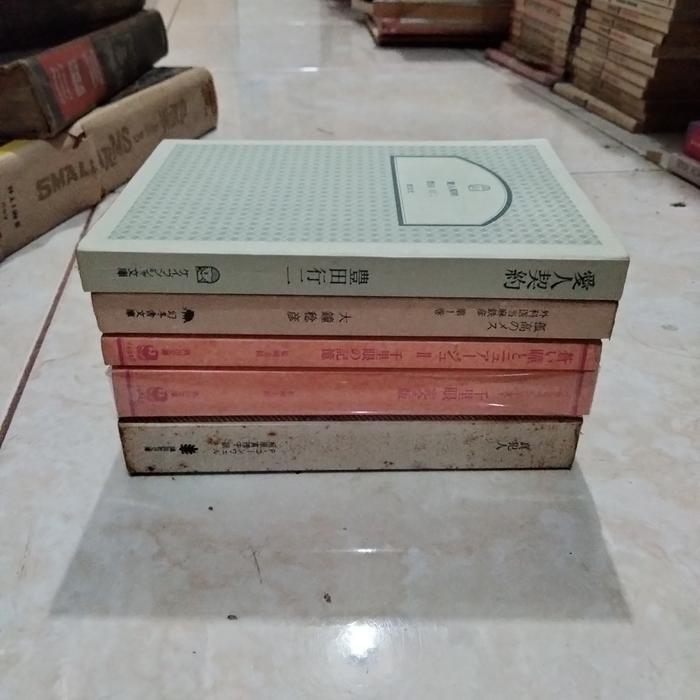 READY Novel bahasa mandarin