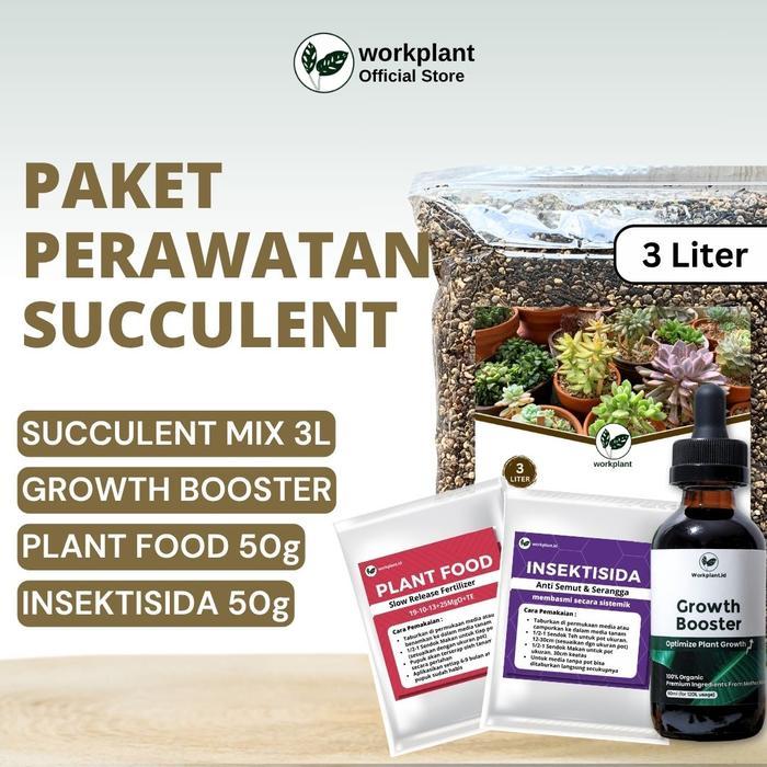 Workplant - Paket Perawatan Succulent Optimalkan Pertumbuhan Tanaman Hias Kaktus dan Sukulen