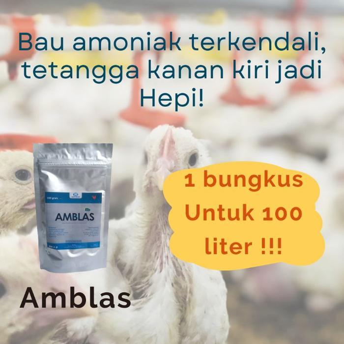 DISKON Bubuk penghilang bau amoniak atau amonia kandang ayam, Kambing, sapi, dan pengering