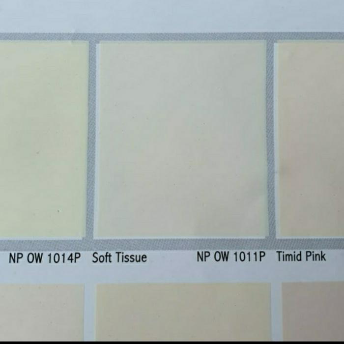 TERUJI Cat Vinilex Nippon Paint Tinting Soft Tissue NP OW 1011P Galon