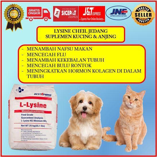 READYY L-LYSINE 99% / ASAM AMINO PENAMBAH NAFSU MAKAN HEWAN TERNAK / 1 KG