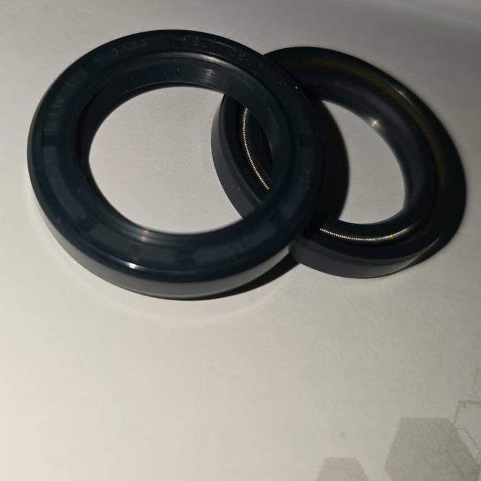 Oil Seal Cfw Babsl 25*35*6/6.6 / Babsl 25X35X6/6.5 Babsl 25 35 6/6.6