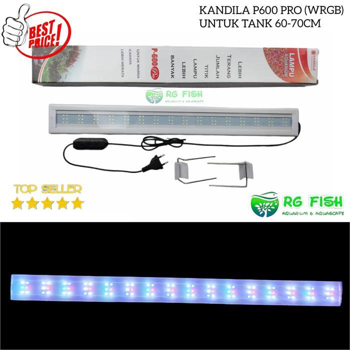 Lampu akuarium Kandila P600 led aquarium aquascape 60cm-70cm