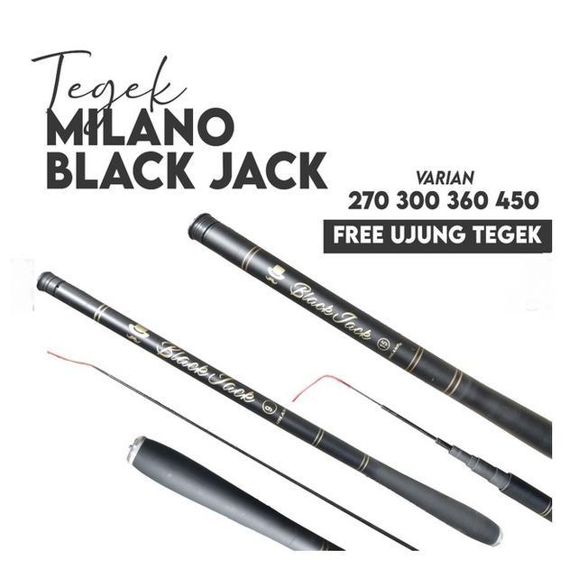 Joran Pole/Tegek Milano Black Jack 450