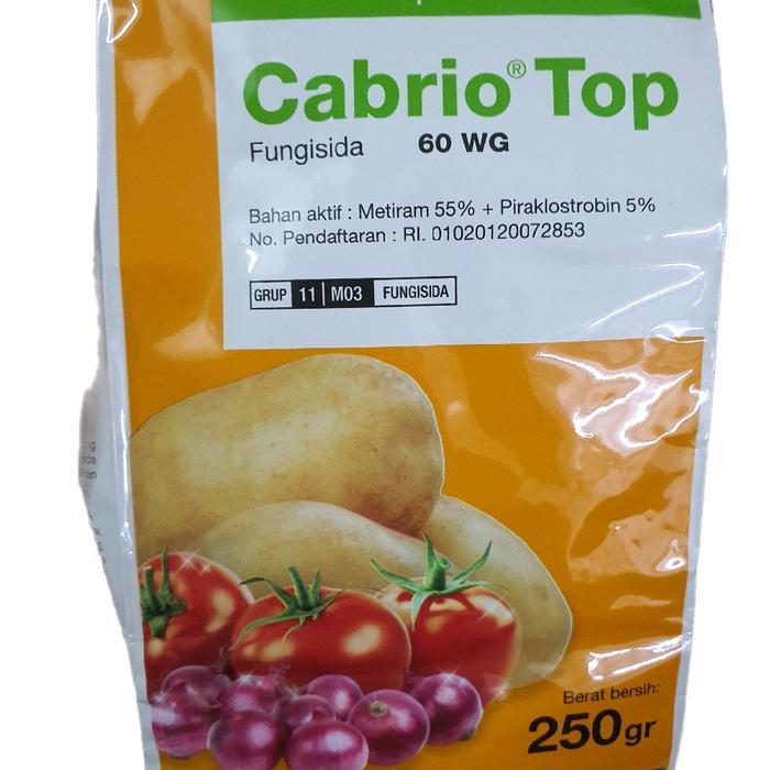 ` Fungisida CABRIO TOP 60WG 250GR