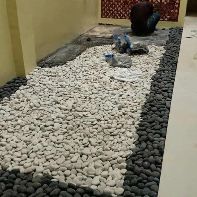BISA COD Batu Koral Putih Kupang / Batu taman/ Batu Tabur Putih untuk Taman