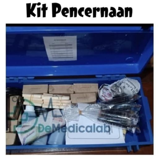 Alat Peraga Sekolah Laboratorium Kit Pencernaan