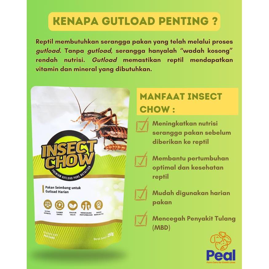 READYY Insect Chow / Gutload Premium / Gutload Reptil / Pakan Serangga