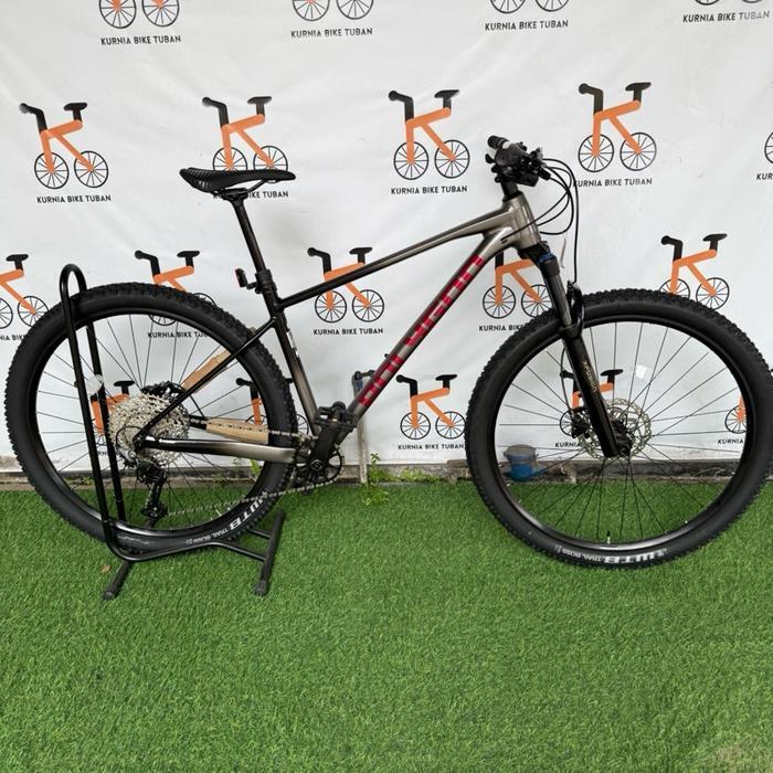 Sepeda MTB Polygon Xtrada 6 12 speed