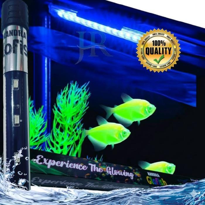 Lampu view aquarium LED celup Kandila Glofish tetra glowing color