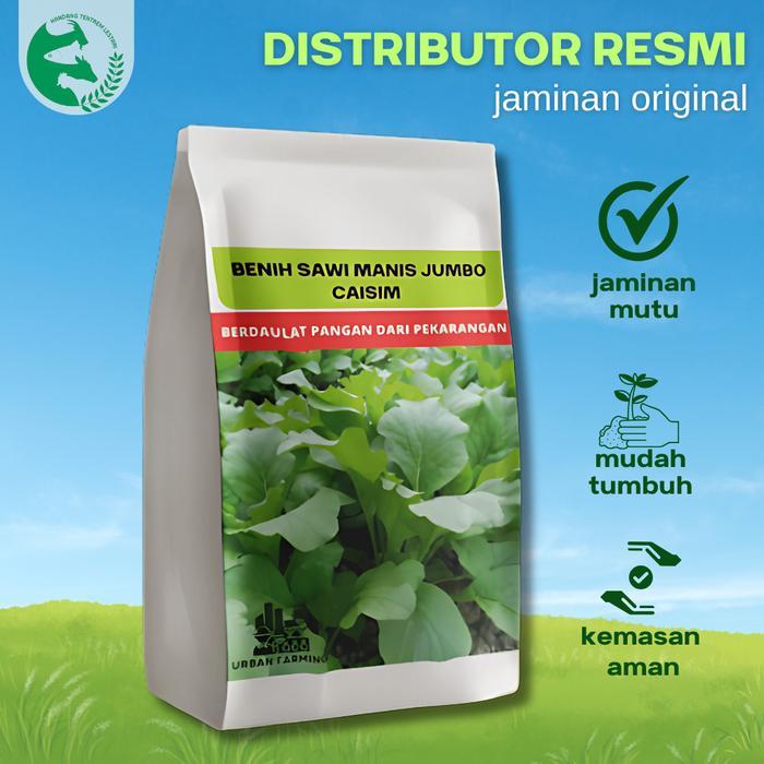 Benih Caisim Sawi Manis Jumbo 1 Kilogram Urban Farming Unggul Lebat Panen Melimpah Terlaris