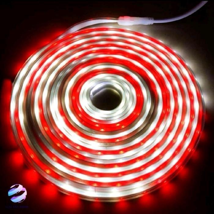 Lampu Meteor 17 Agustus Merah Putih Lampu Dekorasi 17Agustusan Meteor Terlaris