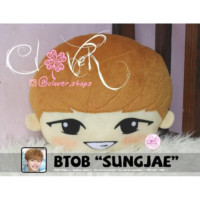 Bantal KPOP / Bantal Chibi / Cushion / Pillow - BTOB SUNGJAE [MINI]