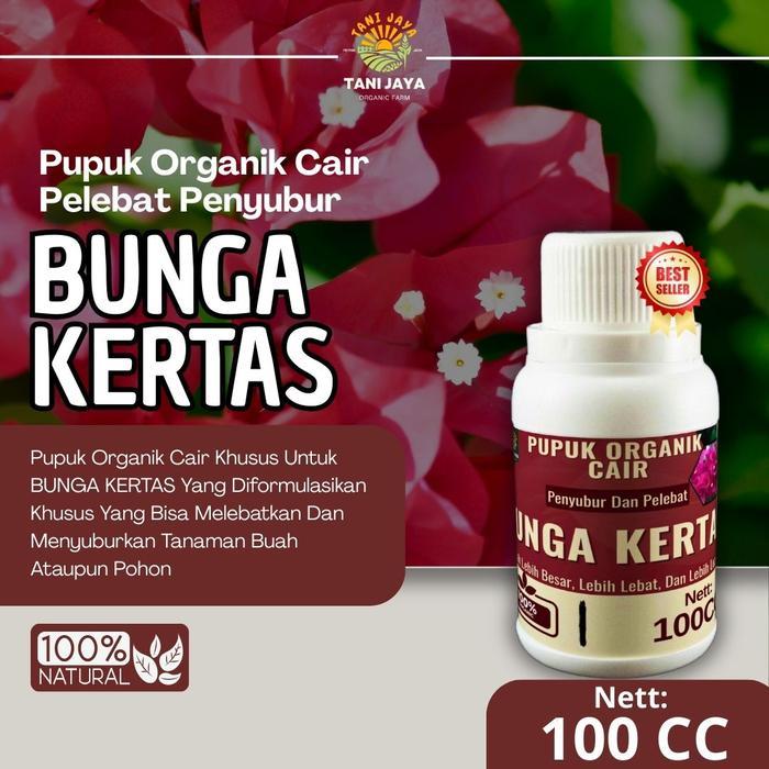 Pupuk Bougenville Cepat Berbunga Pupuk Organik Tanaman Hias Bunga Kertas Lebat Warna Cerah