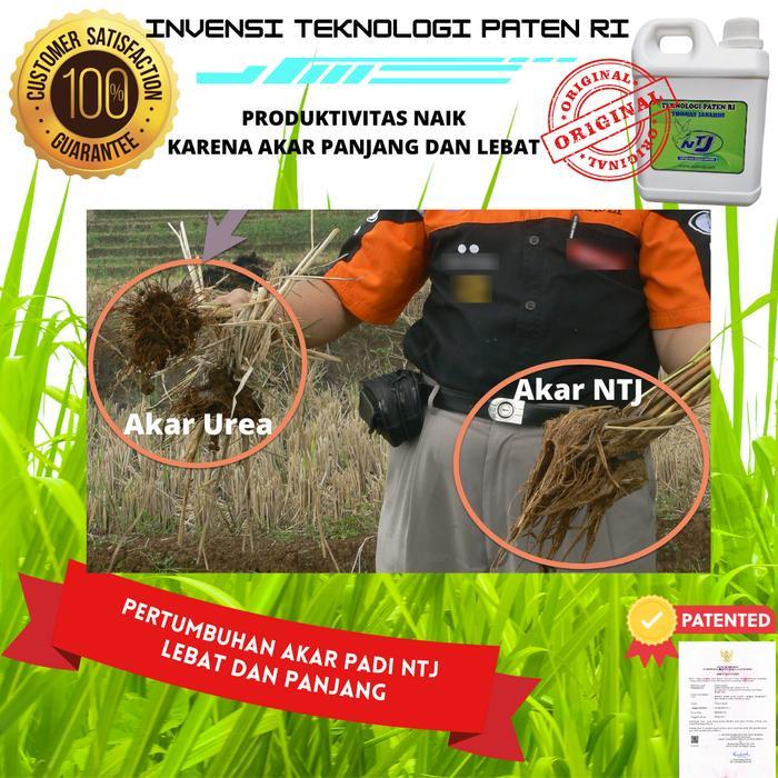 BISA COD NTJ - Pupuk / Penggembur Tanah dalam 24 Jam Tanaman Padi
