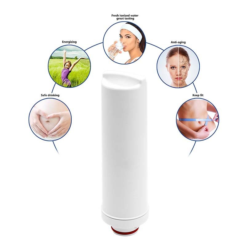 Internal Water Filter For Water Ionizer 829