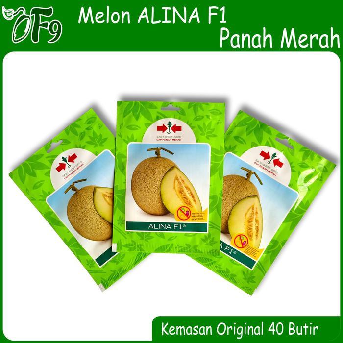 Moonieshopline Benih Bibit Melon Alina F1 40 Butir Panah Merah