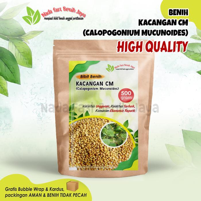 Benih Kacang Penutup Tanah Calopogonium mucunoides 500 gram