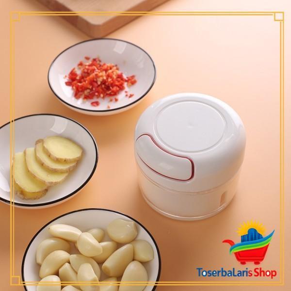 BLENDER CHOPPER MANUAL / PENGHALUS BUMBU DAPUR PRAKTIS
