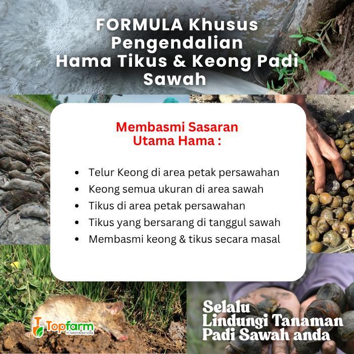 Obat Keong Dan Tikus Sawah / Obat Keong Tanaman Padi / Obat Pembasmi Benih Telur Keong Padi Awal