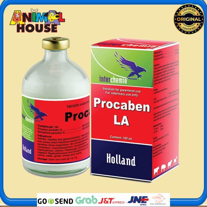 Suspensi Antibiotik untuk Ternak Sapi Kambing Babi 100 ml