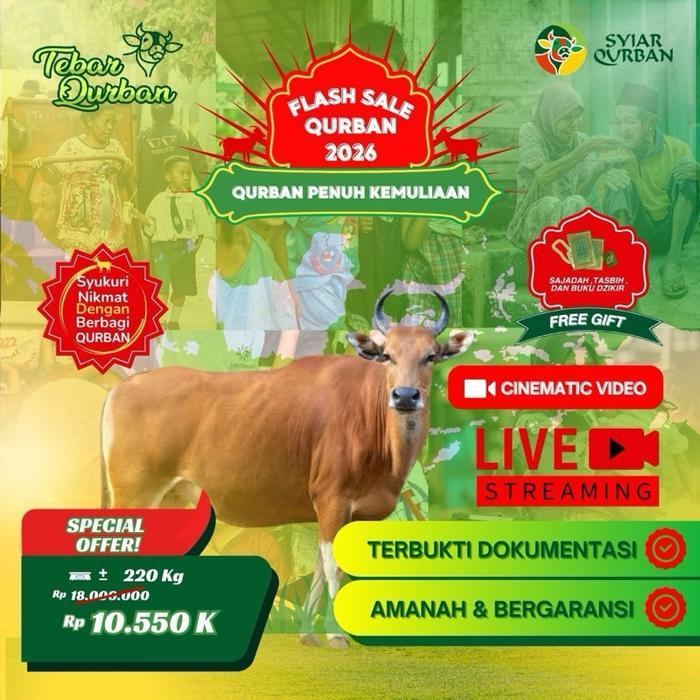 PROMO Sapi Qurban 1 Ekor (1-7 Nama Pequrban) Full Distribusi Daging Ke Pelosok