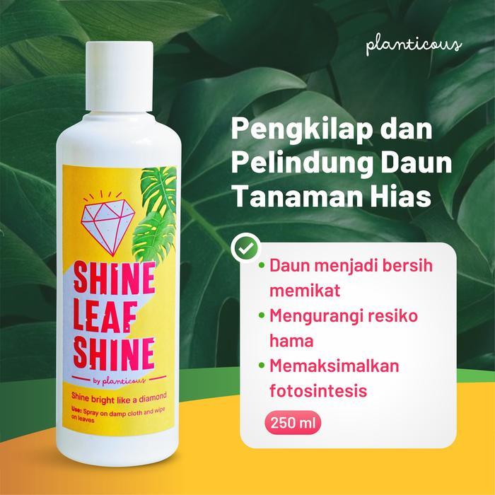 BISA COD Pengkilap dan Pelindung Daun Tanaman Hias Shine Leaf Shine