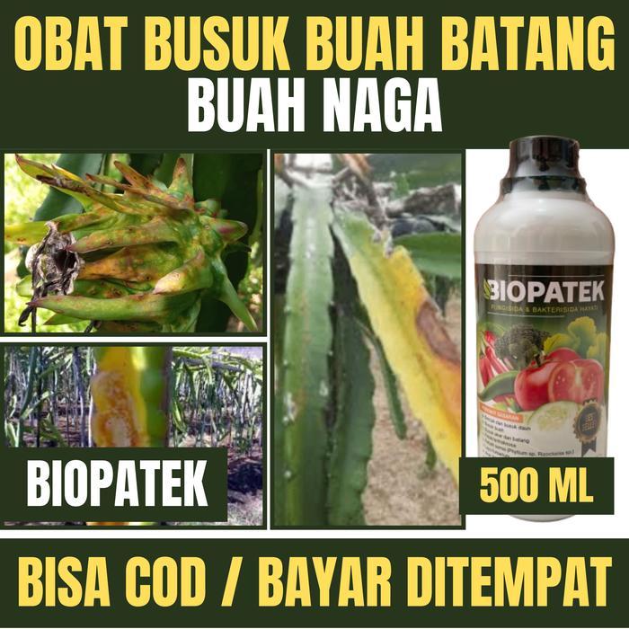 Biopatek Fungisida Obat Busuk Batang dan Buah Pada Tanaman Buah Naga - Pupuk Fungisida Organik Cair