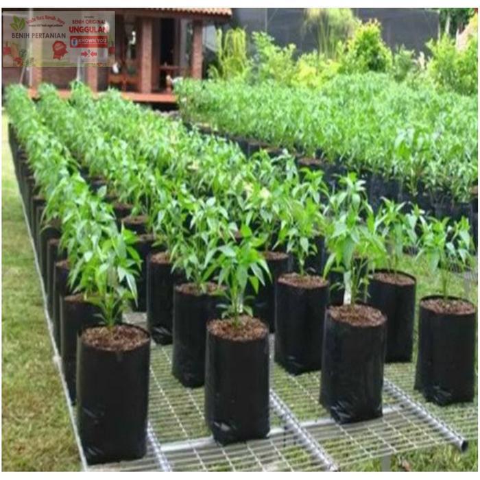 Polybag Media Tanam Ukuran 25x25 untuk Tanaman Rumahan Tersedia Berbagai Ukuran