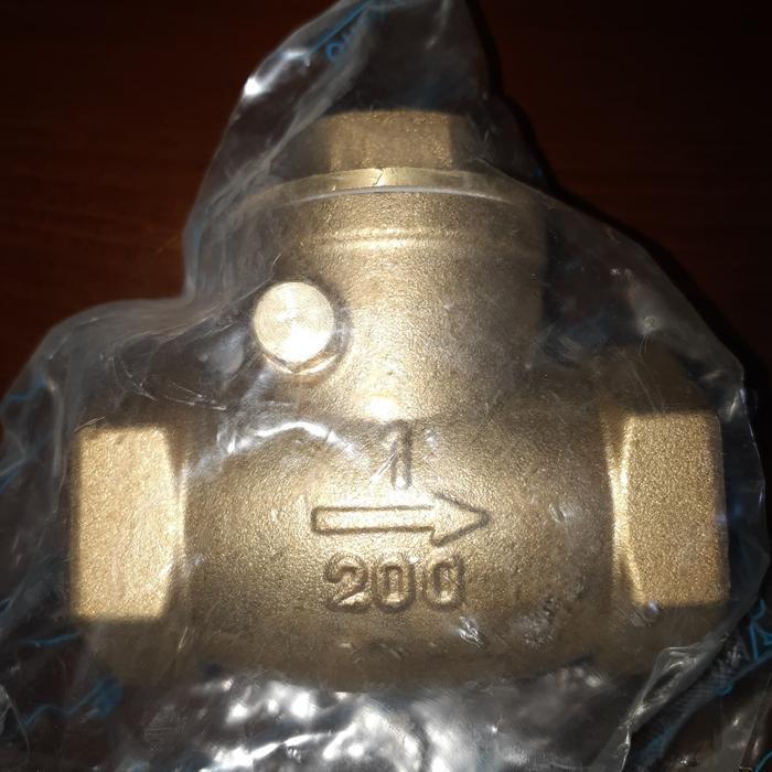 Check Valve 1 Inch Onda Klep Tabok